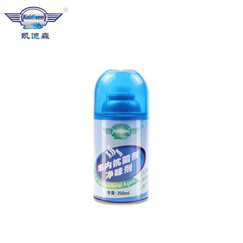 Hot Sale Professional Car Purifier Automobile Deodorant Odor Remover Antisepsis Spray