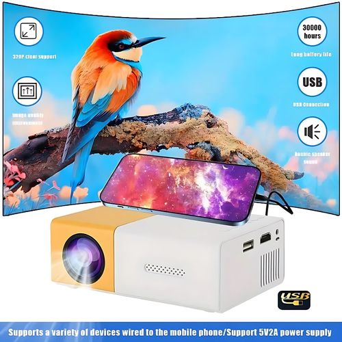LED Projector