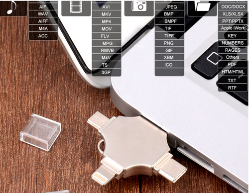 Popular 4 in 1 Usb Flash Drive 3.0 8GB-256GB High-Speed Pen Drive for iPhone Android Fast Data Transfer OTG Usb Disk