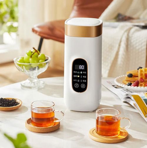 Portable Electric Kettle 550ml Mini Travel Heating Cup