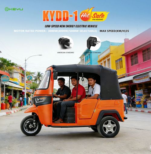 new energy electric vehicle