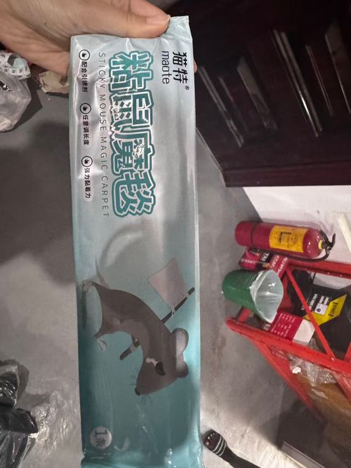 5th Generation Mouse Trap – Once a mouse touches it, there's no escape.Door-to-door delivery 🚚 Cash on delivery 💰