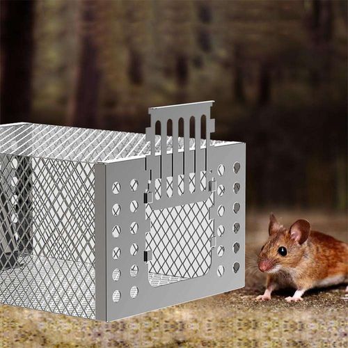Small Humane Mouse Trap Cage for Home Use