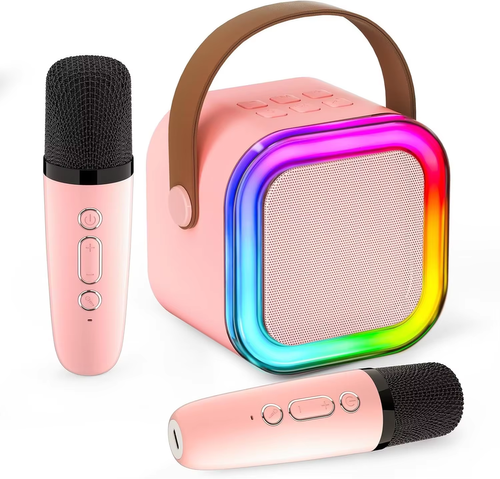 High Quality Speaker Mini Portable HIFI Stereo Sound Wireless Karaoke Speaker with 2 Microphone Colorful LED Lights