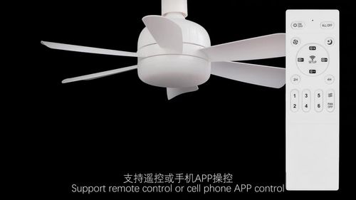 Screw-type lamp holder fan household silent fan chandelier easy to install remote control ceiling fan light electric fan light fan light
