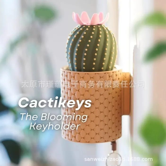 Cactus Key Holder Wall Mount