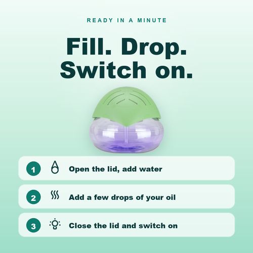 3-in-1 Cool Mist Humidifier — 50% OFF today only. 🇬🇭