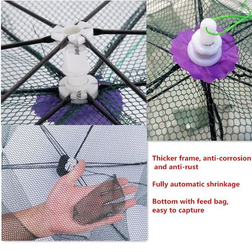 ❤LAST DAY 49% OFF🔥The Magic Fishing Trap⛺︎