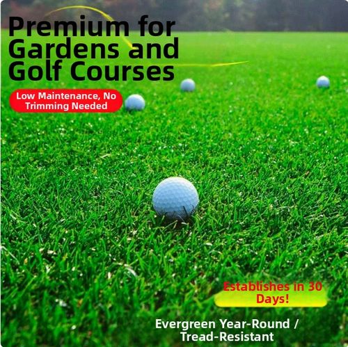 Buy 2 Get 1 Free 🔥⏰Last Day Promotion - 🌱 Evergreen dwarf grass seed for four seasons🌾 | Create your perfect lawn here🌼