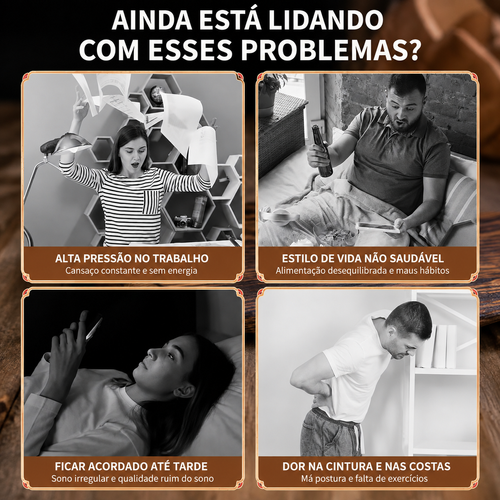 Fórmula de Chá Herbal para os Rins, Chá Botânico de Ginseng Cinco Tesouros, Chá Herbal Orgânico de Apoio aos Rins, Mistura de Chá Detox e Purificante, Saquetas de Chá Herbal Chinês com Ginseng e Tâmara Vermelha, Chá Herbal de Bem-Estar para Homens e Mulheres, Bebida Herbal Detox.
