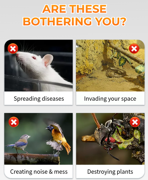 The Beast Repellent Solar Warning Light