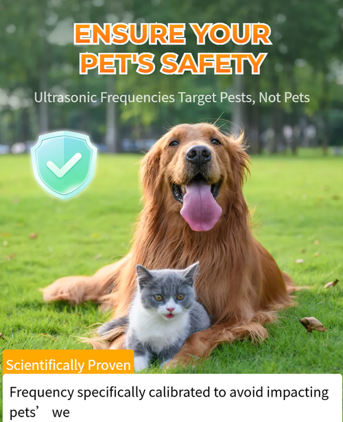 The Beast Repellent Solar Warning Light