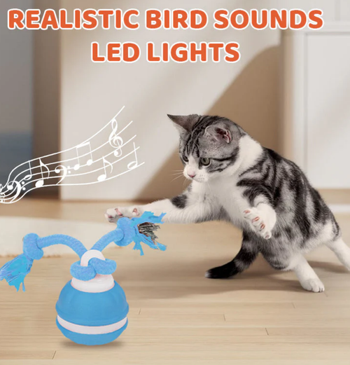 🔥LAST DAY SALE 50% OFF!!🎁Interactive Rolling Cat Ball with Bird Sounds