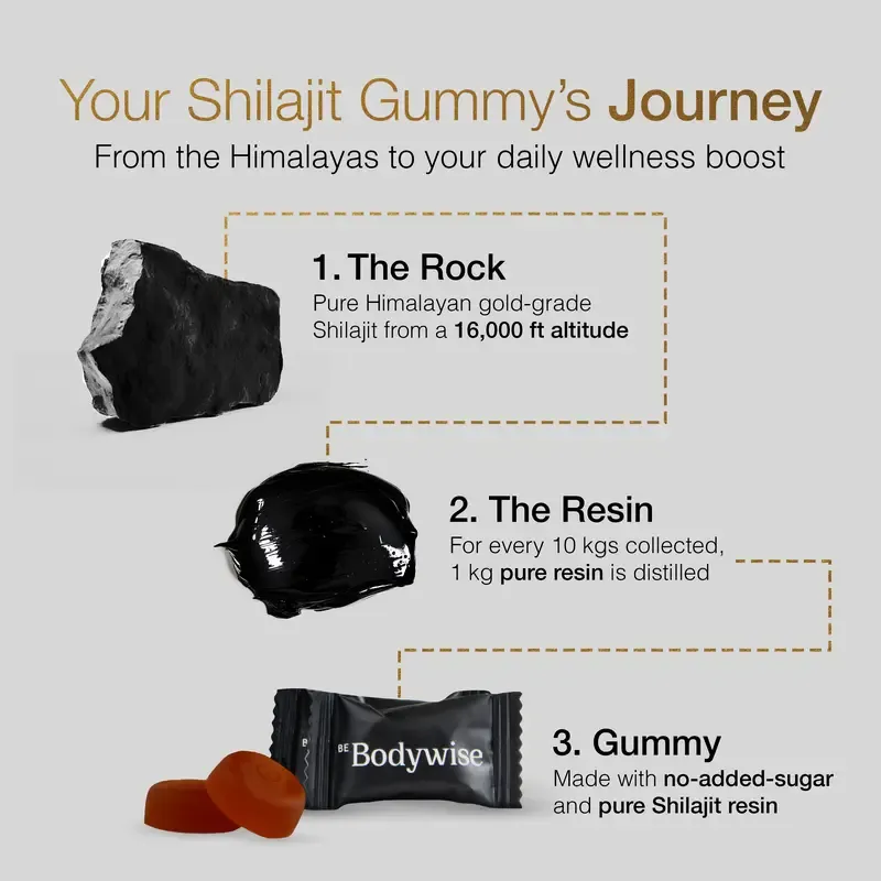 Be Bodywise by Root Labs Pure Himalayan Shilajit Gummies | New Year New Me Edition | 3000 mg with KSM-66 Ashwagandha, Gokshura, Saffron, Black Musli | Fulvic Acid & 85+ Trace Minerals | No Added Sugar | Natural Strength, Focus & Stamina Support