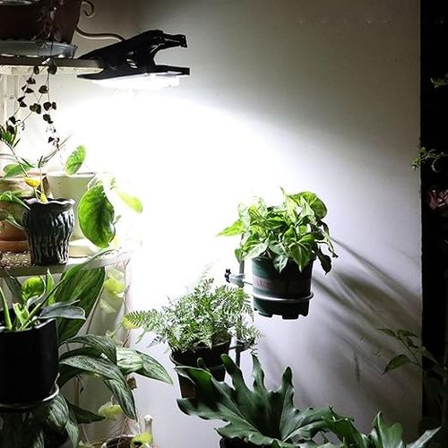 Solar Lights Outdoor, Clip Motion Sensor Solar Lights, Motion Sensor Security Light for Fence, Waterproof Outdoor Lighting for Indoor Outdoor Pathway, Deck, Lawn, Patio, Walkway