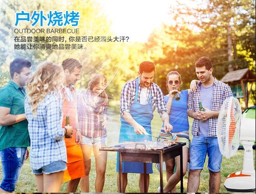 Multifunctional 12 inch solar AC or DC rechargeable oscillating head adjustable speed rechargeable mobile phone lighting fan set