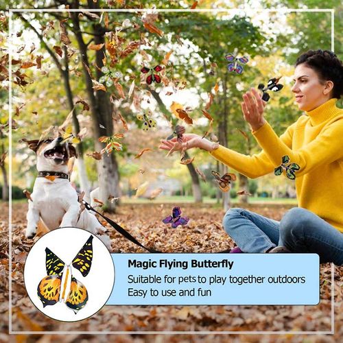 Pet toy flying butterfly
