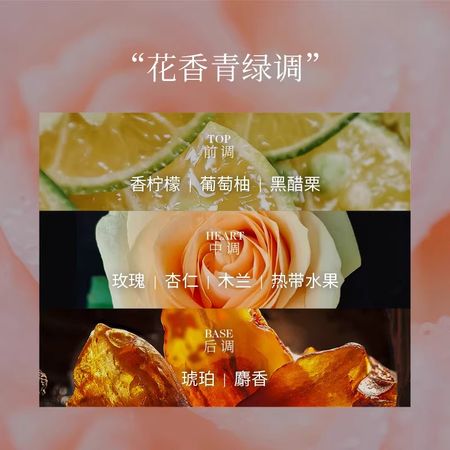 野獸青年「茶柚玫瑰」玫瑰花香香水清新小眾持久禮物生日禮物
