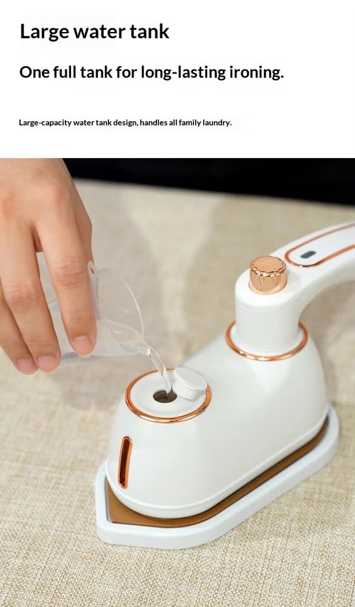 Steam Iron
