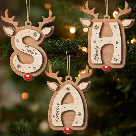 Personalized Wooden Reindeer Ornaments – Custom Double Layer Christmas Decorations for the Whole Family, Perfect Holiday amp,Birthday Gift