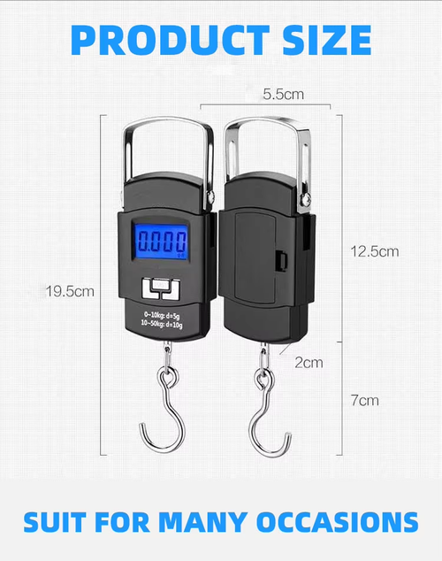 Portable electronic scale