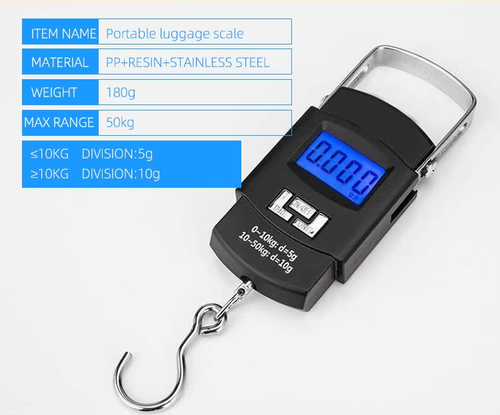Portable electronic scale