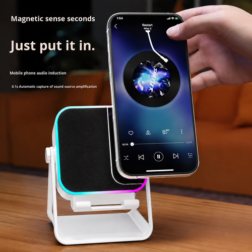 Multifunctional Bluetooth Speaker