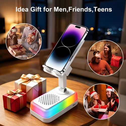 Wireless Induction Speaker