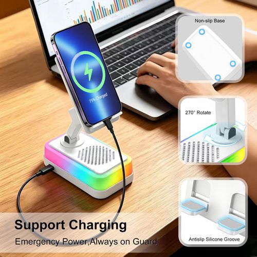 Wireless Induction Speaker