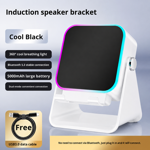 Multifunctional Bluetooth Speaker