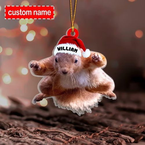 Personalized Christmas Squirrel Ornament - Funny Flying Squirrel Ornament