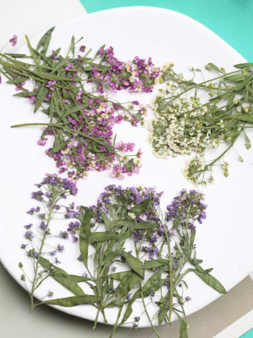 This Color with Branches Sweet Alyssum Photo Frame Candle Nail Beauty Dried Flowers