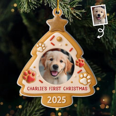 Individueller Foto-Acrylanhänger – Personalisierte Weihnachts- und Geburtstagsgeschenke für Hunde- und Katzenliebhaber, Hundepapas und -mamas, Katzenbesitzer – Weihnachtsmann, ich war ein braver Hund