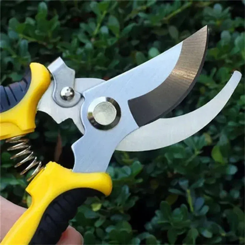 3PCS Pruner Garden Scissors Professional Sharp Bypass Pruning Shears Tree Trimmers Secateurs Hand Clippers For Garden Beak Scissors