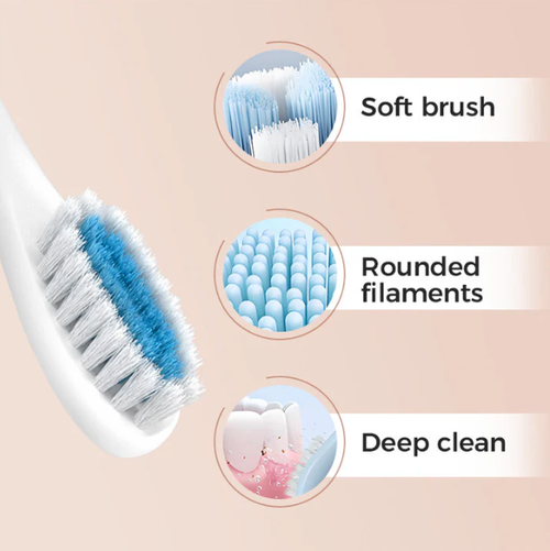 Rechargeable Sonic Electric Toothbrush For Adults