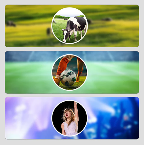 🔥2025 Hot Sale🔥20x Mobile phone telephoto lens with bracket🔥