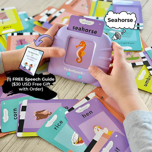 Children's enlightenment learning flash card reader