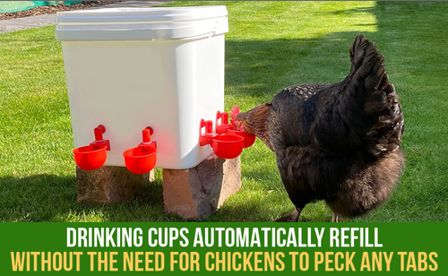 DIY Automatic Chicken Drinker Cup Kit For Poultry – Little Hen Supplies