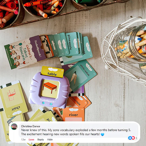 Children's enlightenment learning flash card reader