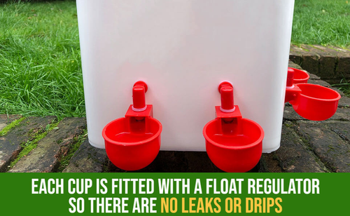 DIY Automatic Chicken Drinker Cup Kit For Poultry – Little Hen Supplies