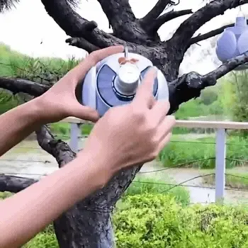Eco-Friendly Solar Light