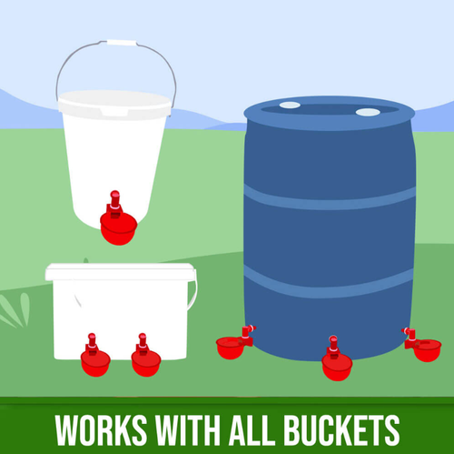 DIY Automatic Chicken Drinker Cup Kit For Poultry – Little Hen Supplies