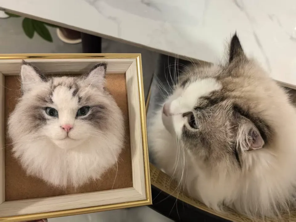 🐾 A Wool Felt Portrait That Looks More Like My Friend’s Cat Than a Photo