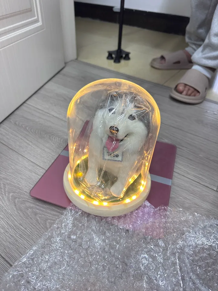 I Lost My Pets This Year — And This Custom Felt Gift Helped Me Heal 🐾💔