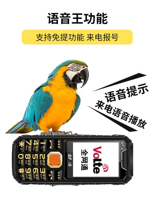 Unlocked Senior Cell Phone