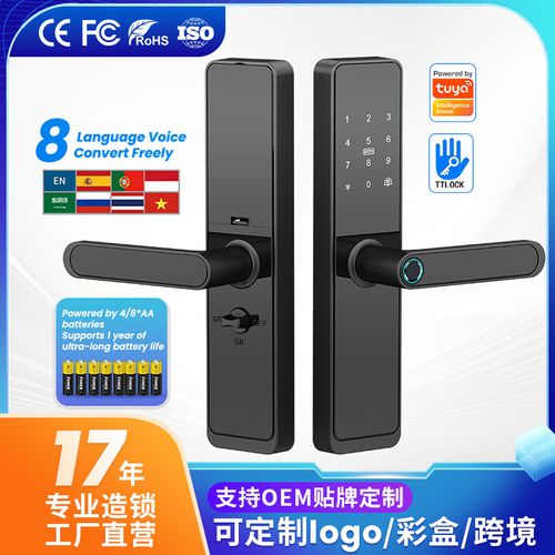 Door Lock