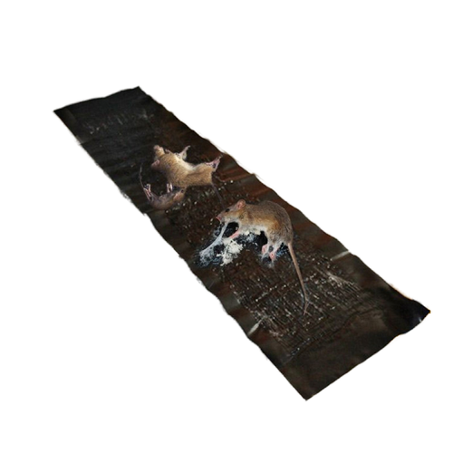 🔥🐀 Rats stand no chance! 120cm big size rat glue mat, heavy-duty strong adhesive to catch all rats easily ❌🧲