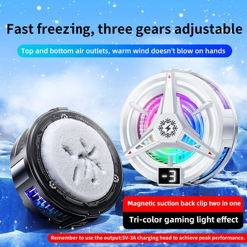Phone cooling fan