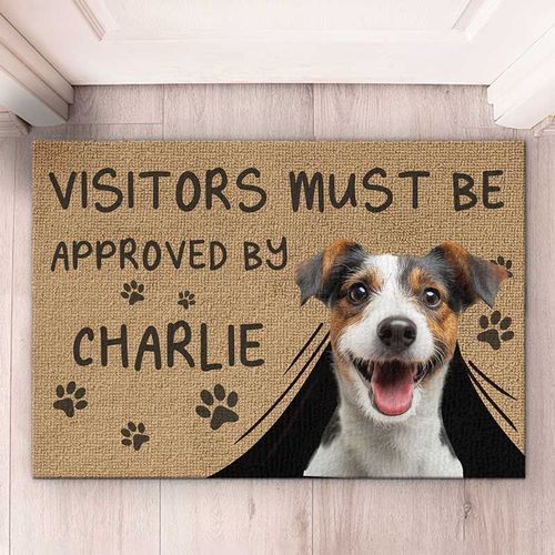 Custom Photo Visitors Must Be Approved By This Dog