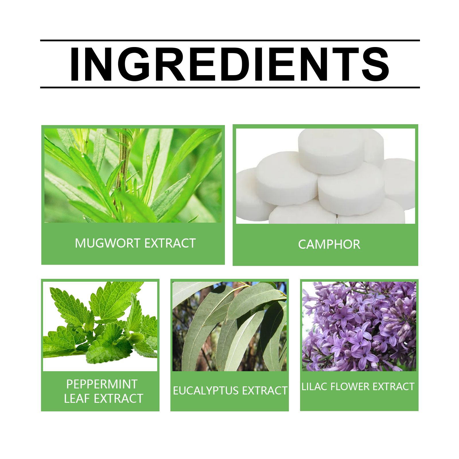 Mugwort JAKEHOE Camphor Round Air Freshener